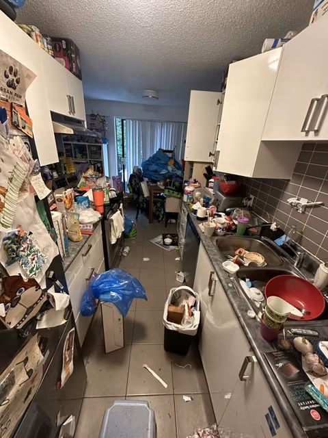 kitchen: before organizing