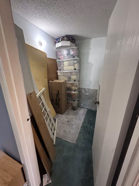 storage room: after organizing